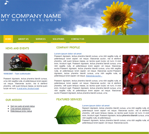 website template